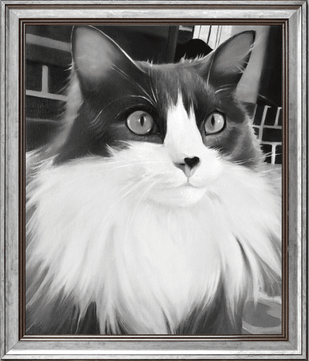 Final Cat Pencil Drawing