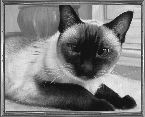 Custom Cat Charcoal Drawing