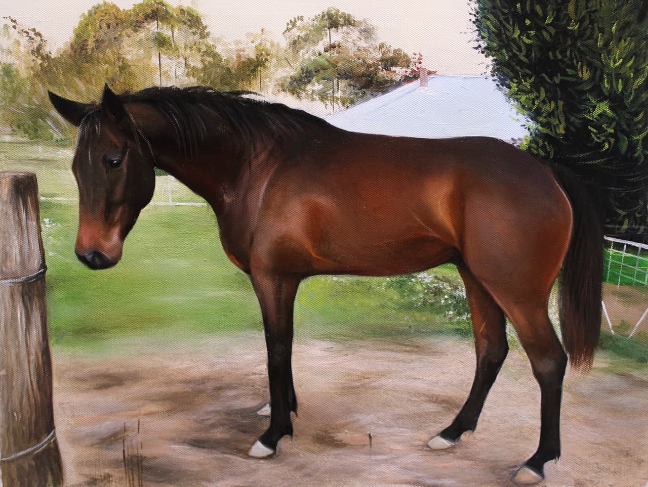 Custom Painting of a Horse